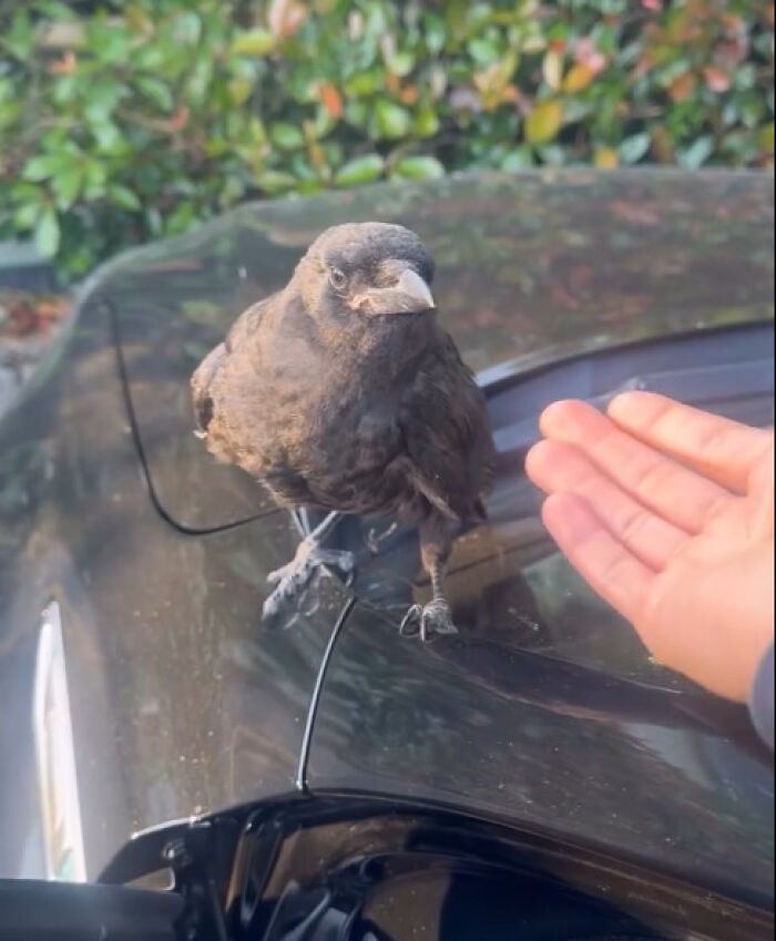 35 Wild Stories That'll Have You Saying 'No Way!'