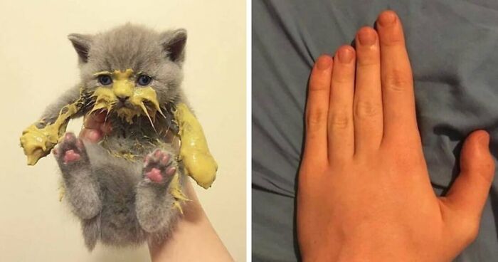 Wait, They Actually Collected These?? 99 Photos That Are So Weird You’ll Laugh and Groan