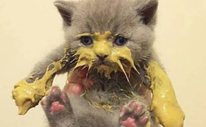 Wait, They Actually Collected These?? 99 Photos That Are So Weird You’ll Laugh and Groan