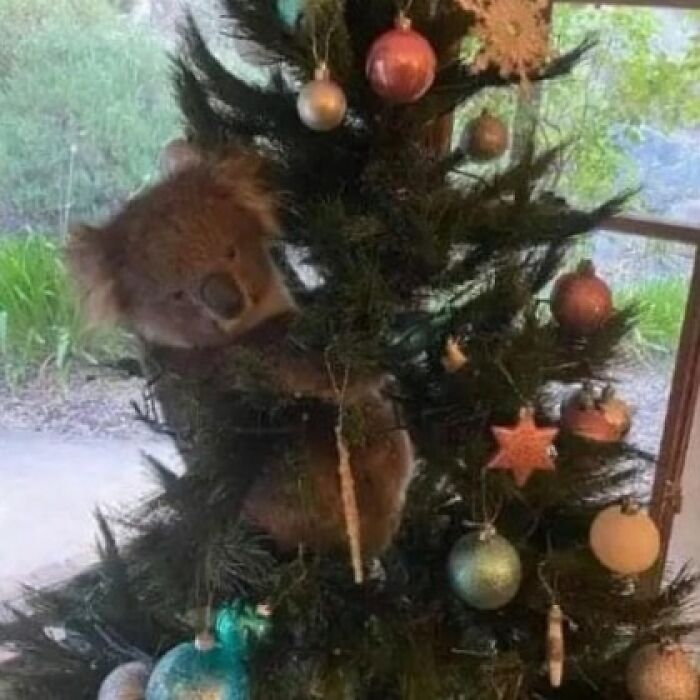 Wait, They Actually Collected These?? 99 Photos That Are So Weird You’ll Laugh and Groan
