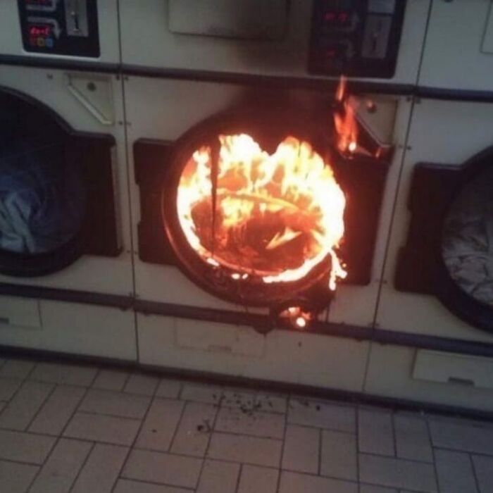 Wait, They Actually Collected These?? 99 Photos That Are So Weird You’ll Laugh and Groan