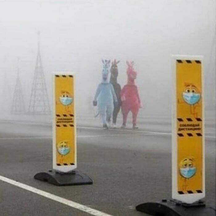 Wait, They Actually Collected These?? 99 Photos That Are So Weird You’ll Laugh and Groan