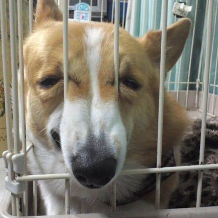 Wait, They Actually Collected These?? 99 Photos That Are So Weird You’ll Laugh and Groan