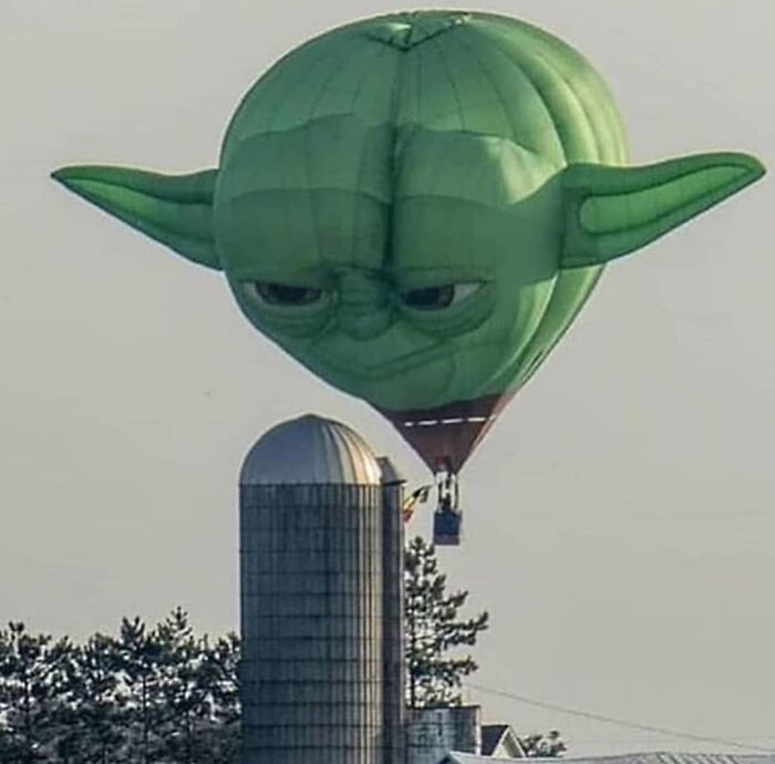 Wait, They Actually Collected These?? 99 Photos That Are So Weird You’ll Laugh and Groan