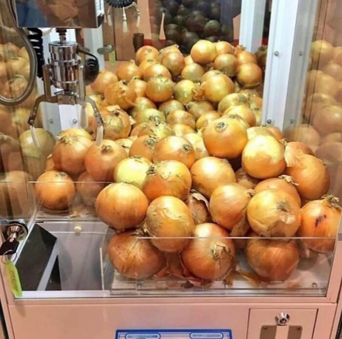 Wait, They Actually Collected These?? 99 Photos That Are So Weird You’ll Laugh and Groan