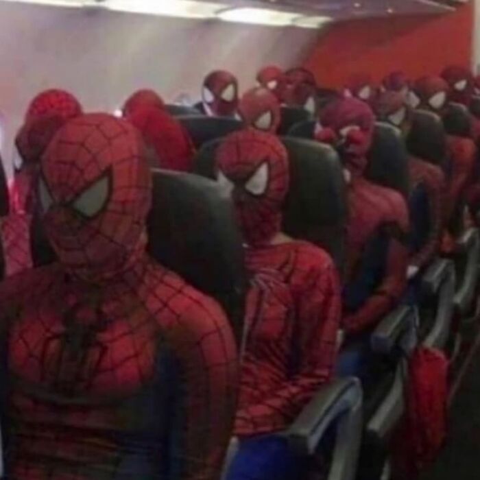 Wait, They Actually Collected These?? 99 Photos That Are So Weird You’ll Laugh and Groan