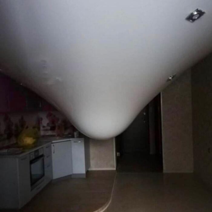 Wait, They Actually Collected These?? 99 Photos That Are So Weird You’ll Laugh and Groan