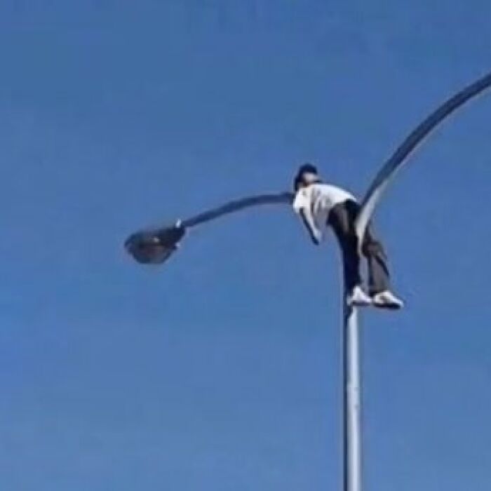 Wait, They Actually Collected These?? 99 Photos That Are So Weird You’ll Laugh and Groan