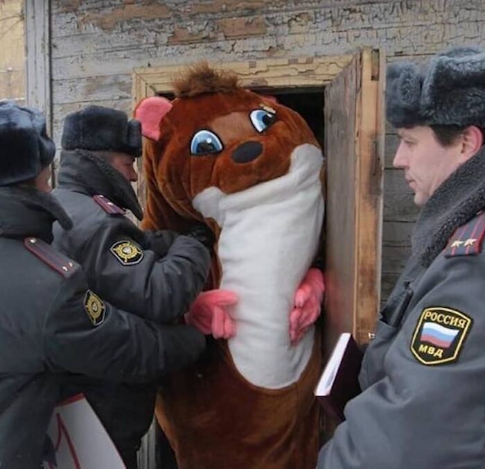 Wait, They Actually Collected These?? 99 Photos That Are So Weird You’ll Laugh and Groan