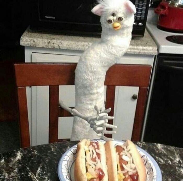 Wait, They Actually Collected These?? 99 Photos That Are So Weird You’ll Laugh and Groan