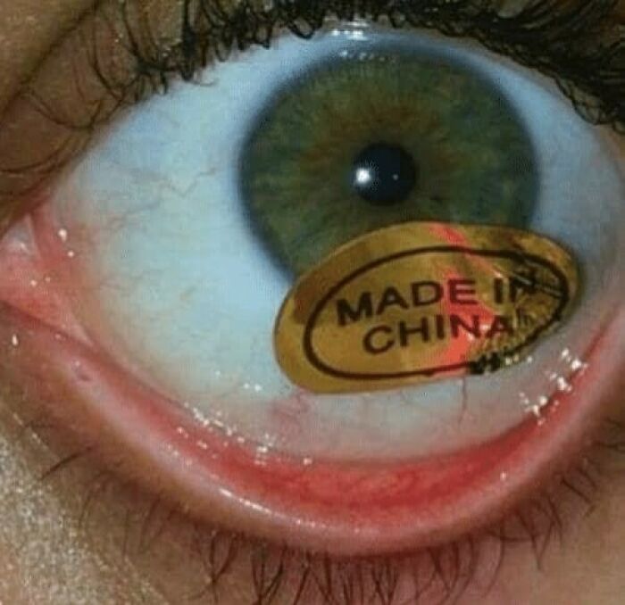 Wait, They Actually Collected These?? 99 Photos That Are So Weird You’ll Laugh and Groan