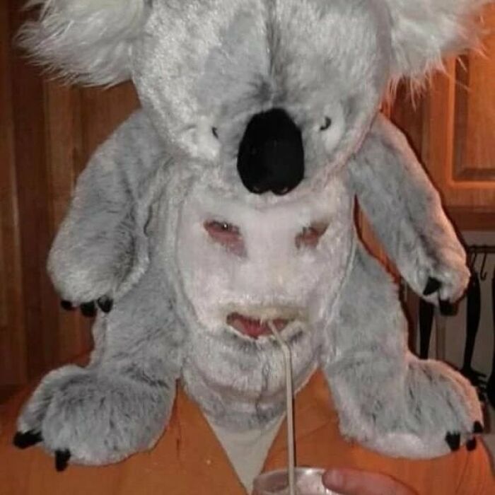 Wait, They Actually Collected These?? 99 Photos That Are So Weird You’ll Laugh and Groan