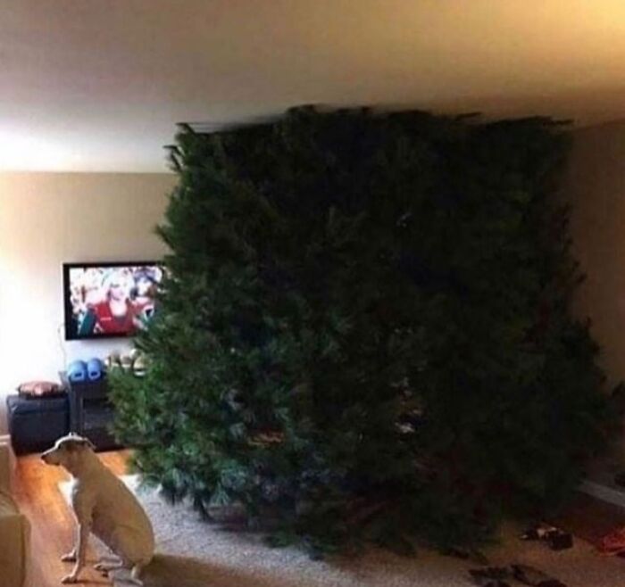 Wait, They Actually Collected These?? 99 Photos That Are So Weird You’ll Laugh and Groan