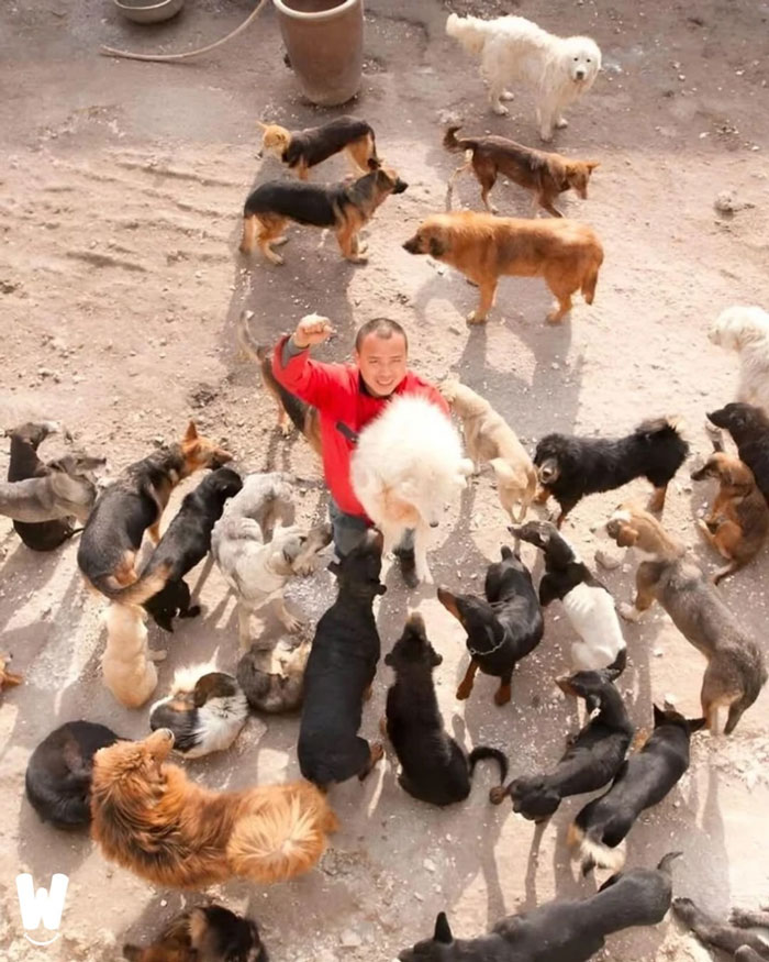 30 Wholesome Stories That'll Make Your Day (Serious Smile Incoming)