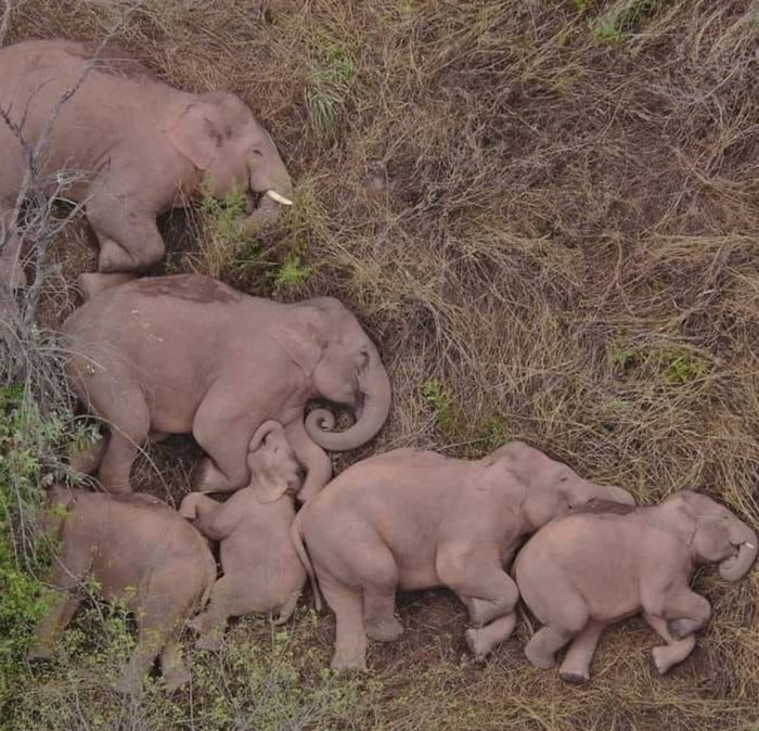 30 Wholesome Stories That'll Make Your Day (Serious Smile Incoming)