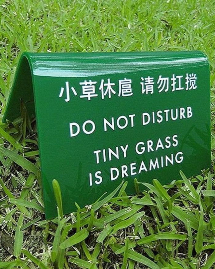 30 Wholesome Stories That'll Make Your Day (Serious Smile Incoming)