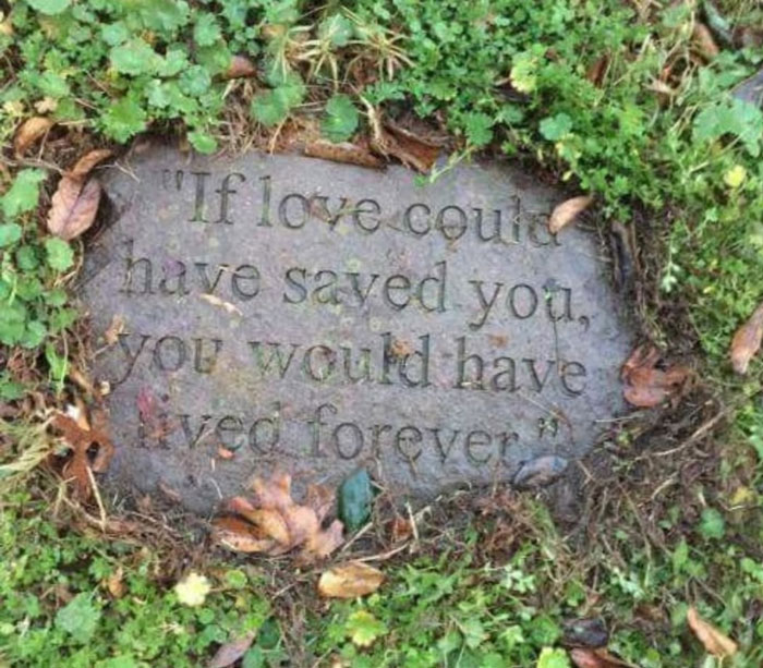 30 Wholesome Stories That'll Make Your Day (Serious Smile Incoming)