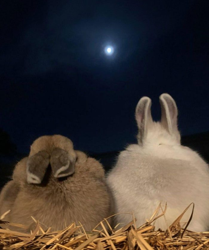 30 Wholesome Stories That'll Make Your Day (Serious Smile Incoming)