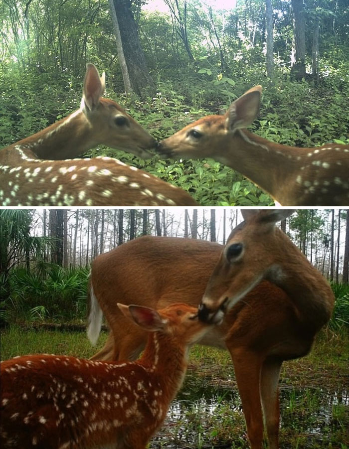 30 Wholesome Stories That'll Make Your Day (Serious Smile Incoming)