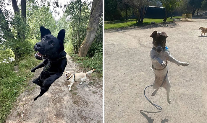 30 Wholesome Stories That'll Make Your Day (Serious Smile Incoming)