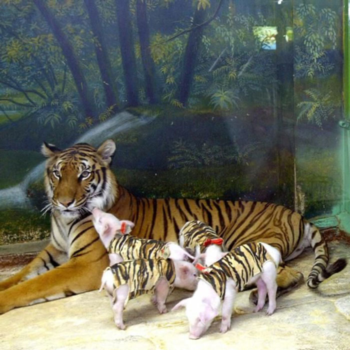 30 Wholesome Stories That'll Make Your Day (Serious Smile Incoming)