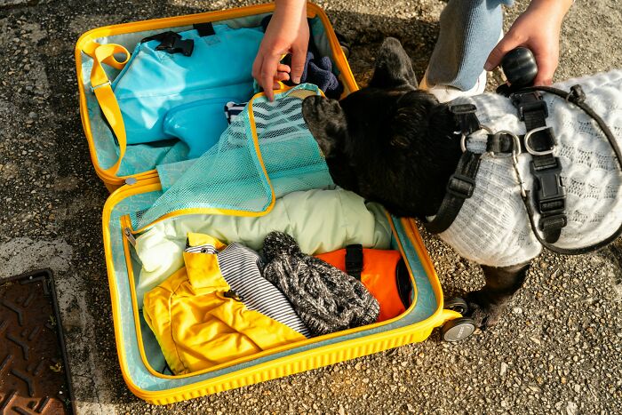 Wait, They Actually Ranked These 36 Weird Things Guys Noticed About Girlfriends!