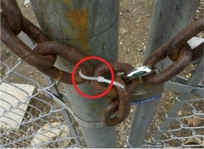 Genius or Just Lucky? You Decide