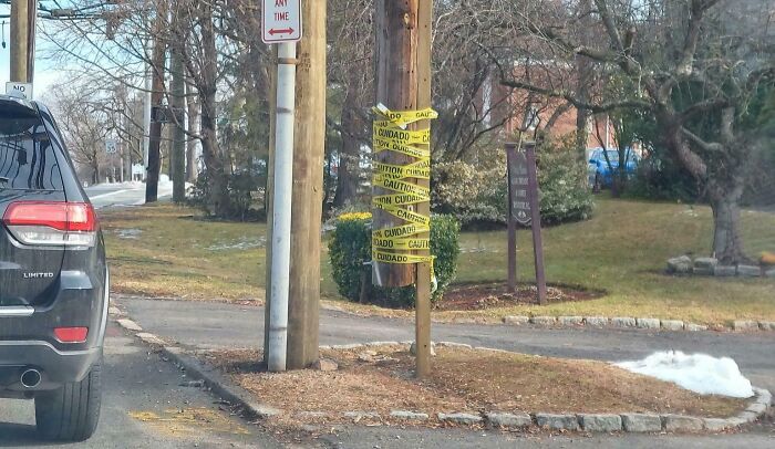'Boss, That Plank Won’t Hold This Pole!'