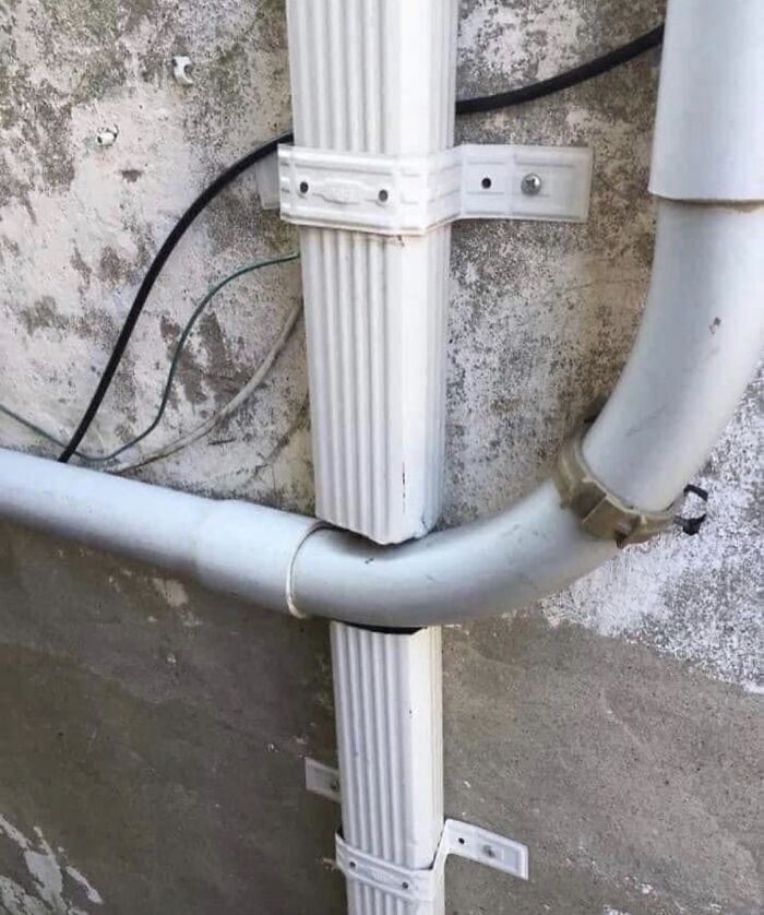 No Words, Just Trying to Figure Out What I’m Seeing