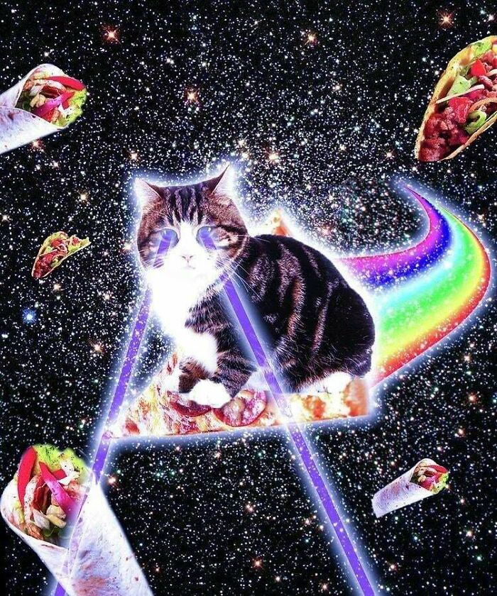 The 2010s Were Basically Rainbow Central