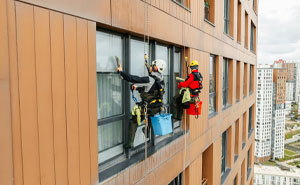 Wait, Window Cleaners Saw THIS?! 37 Hilariously Weird Things From Way Up High