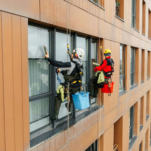 Wait, Window Cleaners Saw THIS?! 37 Hilariously Weird Things From Way Up High