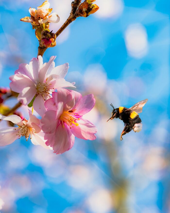 Wild Animals Being Absolutely Fabulous in Photos You’ll Love