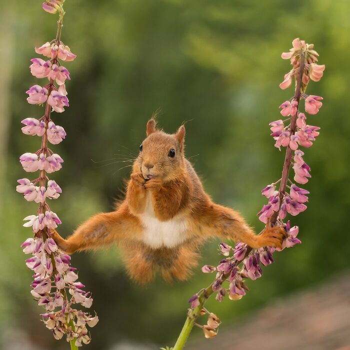 Wait, Animals Pull This Comedy Gold? 40 Wildlife Photos That Absolutely Cracked Us Up