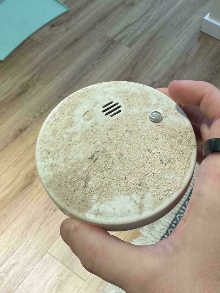 After 9 Days of a Mystery Beeping, Surprise! A Contractor Hid a Smoke Detector in My Wall