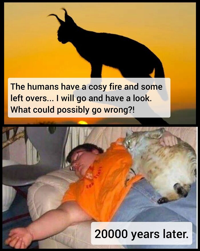 What Could Possibly Go Wrong?! (Famous Last Words)