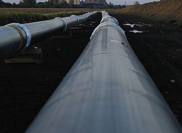 Wait, People Actually Spilled All These Wild Work Secrets?!