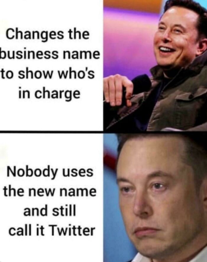 Oops, That Meme Totally Gets Me!