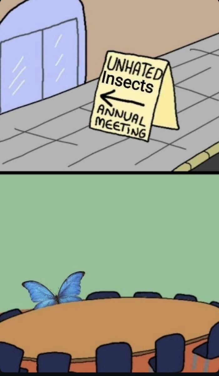 Oops, That Meme Totally Gets Me!