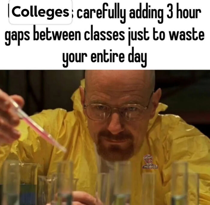 Oops, That Meme Totally Gets Me!