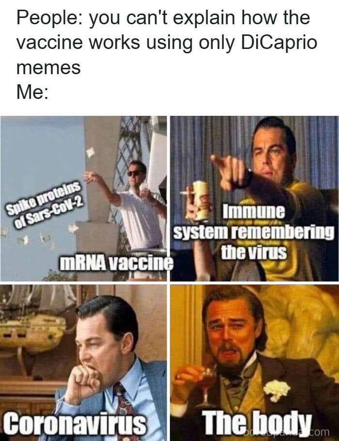 These 73 Hilarious Medical Memes Will Totally Crack You Up!