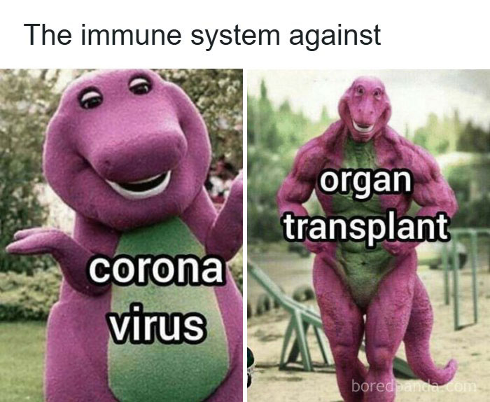 These 73 Hilarious Medical Memes Will Totally Crack You Up!
