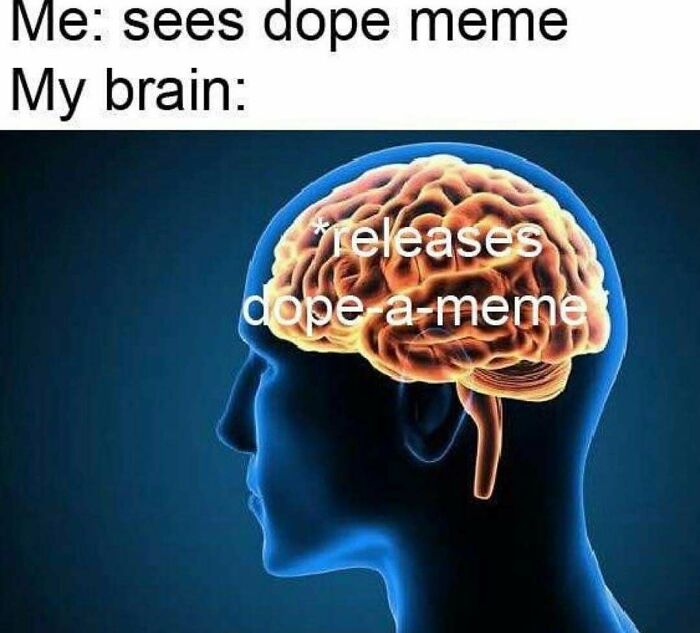 These 73 Hilarious Medical Memes Will Totally Crack You Up!