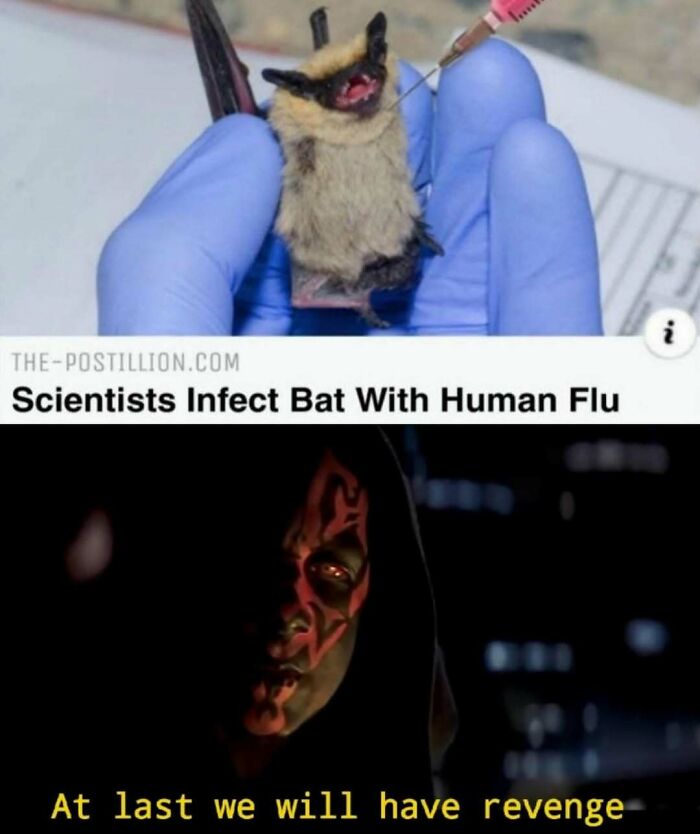 These 73 Hilarious Medical Memes Will Totally Crack You Up!