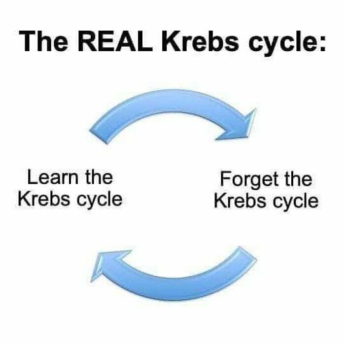 These 73 Hilarious Medical Memes Will Totally Crack You Up!
