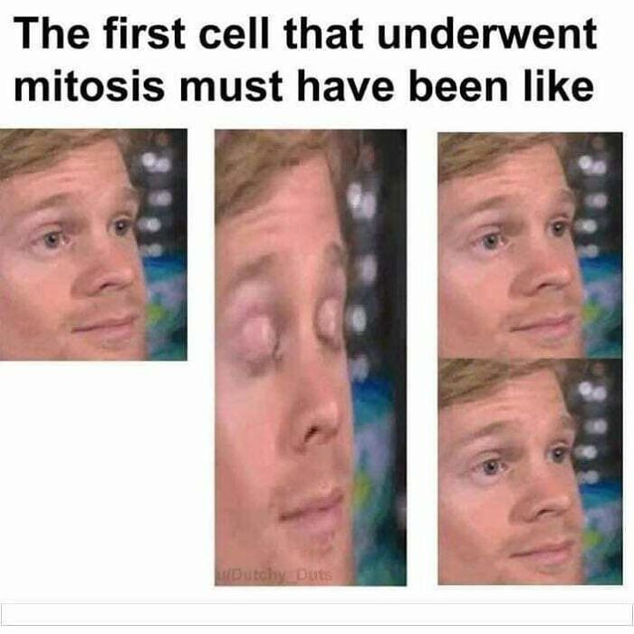These 73 Hilarious Medical Memes Will Totally Crack You Up!