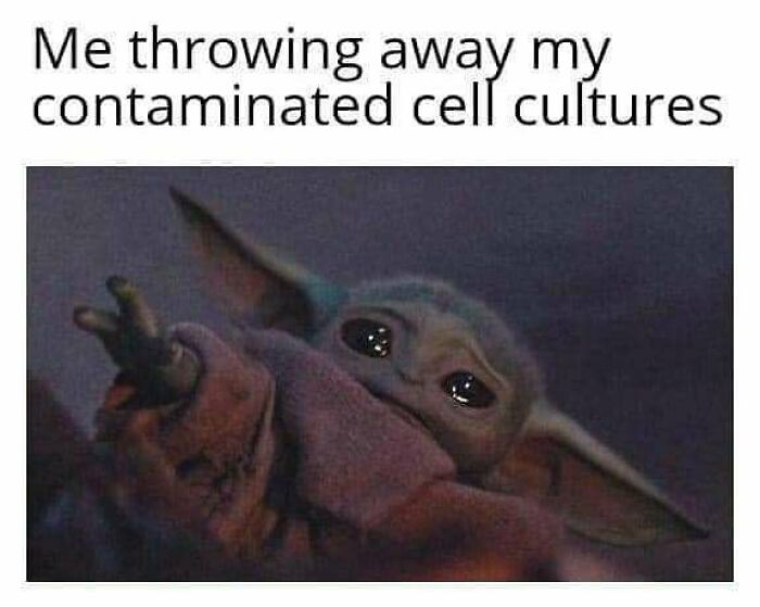These 73 Hilarious Medical Memes Will Totally Crack You Up!