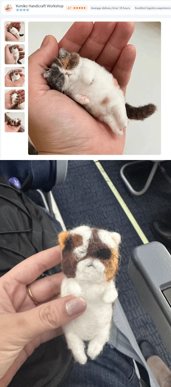 Wait, They Actually Shipped That?! The Funniest Temu & AliExpress Fails Ever