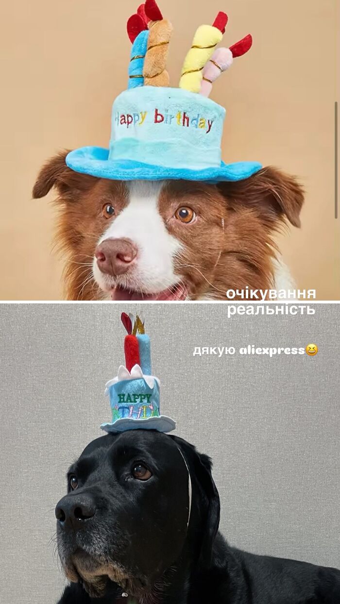 Wait, They Actually Shipped That?! The Funniest Temu & AliExpress Fails Ever