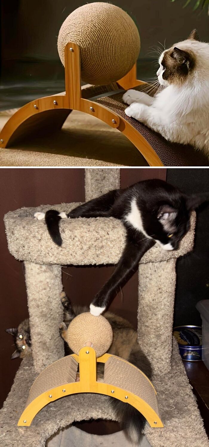 Wait, They Actually Shipped That?! The Funniest Temu & AliExpress Fails Ever